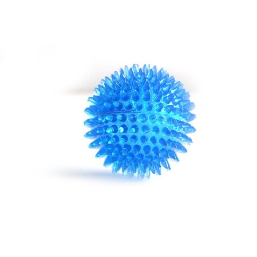 Interactive Pig Face Dog Ball