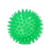 Interactive Pig Face Dog Ball